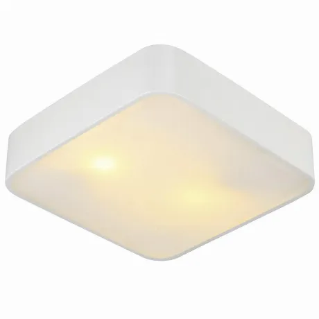 Настенно-потолочный светильник Arte lamp Cosmopolitan A7210PL-2W...