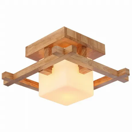 Настенно-потолочный светильник Arte lamp A8252PL-1BR