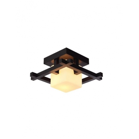 Настенно-потолочный светильник Arte lamp Woods A8252PL-1CK - фото 1