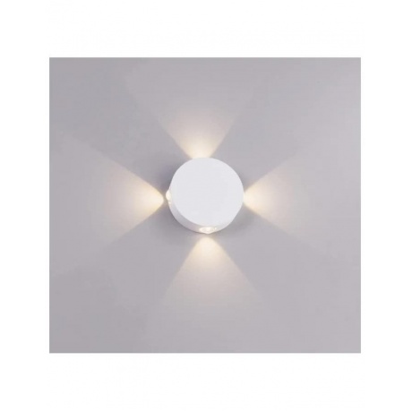 Настенно-потолочный светильник Arte lamp Tamburello A1525AP-1WH - фото 2