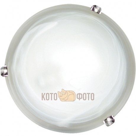 Настенно-потолочный светильник Arte lamp Symphony A3440PL-2CC 1554₽