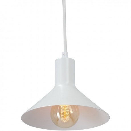 Светильник настенный V2897-0/1A, 1xE27 макс. 40Вт - фото 4