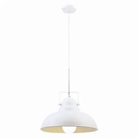 Люстра подвесная Arte lamp Martin A5213SP-1WG