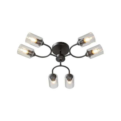 Люстра V2822-1/6PL, 6xE27 макс. 40Вт