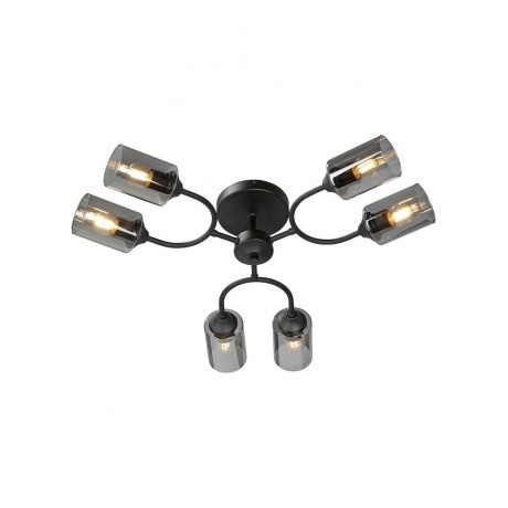 Люстра V2823-1/6PL, 6xE27 макс. 40Вт - фото 1