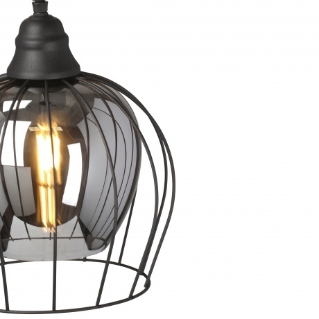 Люстра V2859-1/1S, 1xE27 макс. 40Вт - фото 2