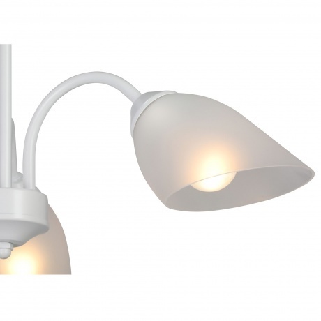 Люстра V3336-0/3PL, 3xE14 макс. 40Вт - фото 4