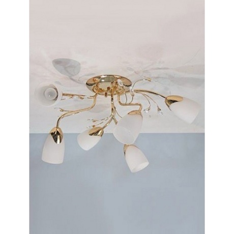 Люстра V3855/6PL, 6хE14 макс. 60Вт - фото 2