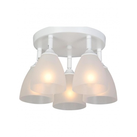 Люстра V4355-0/5PL, 5xE14 макс. 40Вт, плафон ПП - фото 2