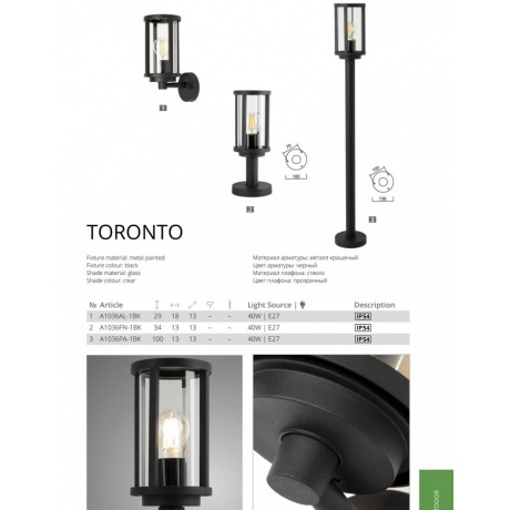 Светильник уличный Arte Lamp Toronto A1036PA-1BK - фото 4
