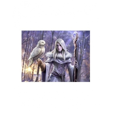 Пазл 3D &quot;Зимняя сова&quot; 500 элементов PR10344 - фото 2