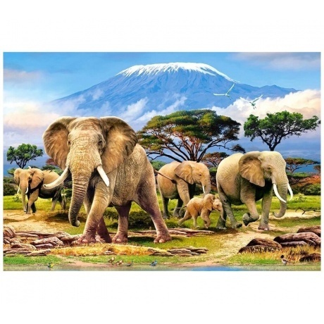 Пазл Castorland 1000 арт.C-103188 &quot;Слоны&quot; - фото 2
