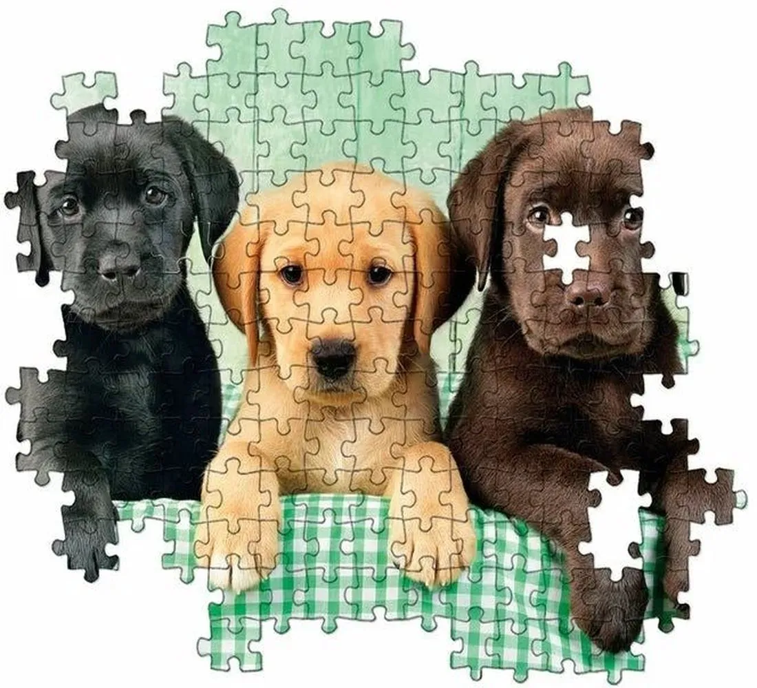Пазл Clementoni 1000 арт.39279 Разноцветные лабрадоры - фото 4
