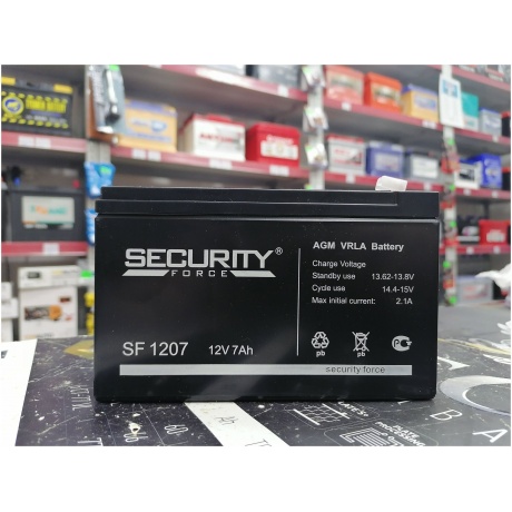 Батарея для ИБП Delta Secuirity Force SF 1207 - фото 12