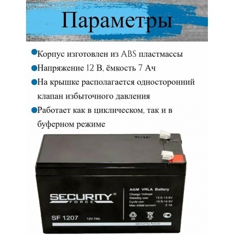 Батарея для ИБП Delta Secuirity Force SF 1207 - фото 15