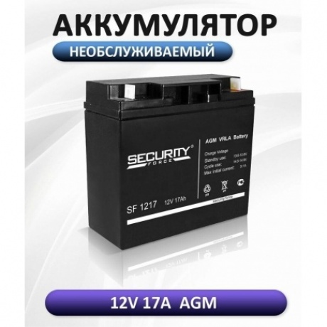 Батарея для ИБП Delta Security Force SF 1217 - фото 8