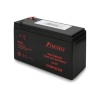 Батарея для ИБП Powerman CA1290 PM/UPS (1163192)