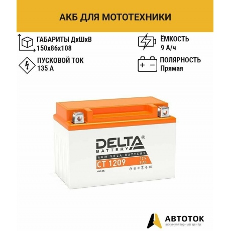 Батарея для ИБП Delta CT 1209 - фото 6