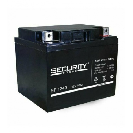 Батарея для ИБП Delta Security Force SF 1240 - фото 2