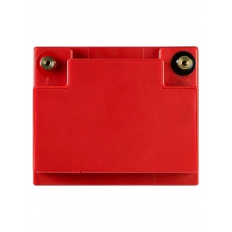 Батарея для ИБП Ippon IPL12-40 12В 40Ач - фото 9