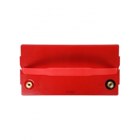 Батарея для ИБП Ippon PL12-100 12В 100Ач - фото 7