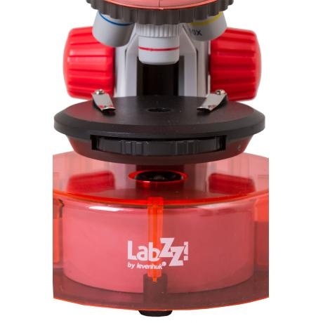 Микроскоп Levenhuk LabZZ M101 Orange Апельсин - фото 6