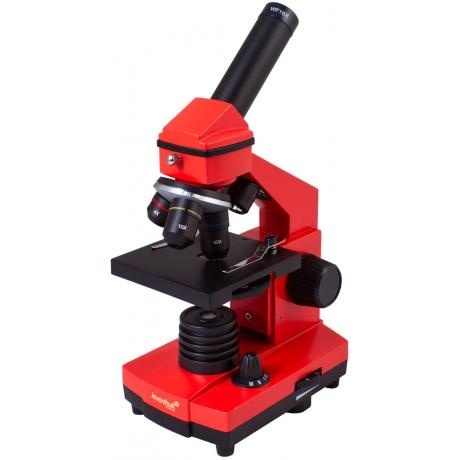 Микроскоп Levenhuk Rainbow 2L PLUS Orange Апельсин - фото 1