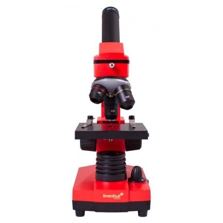 Микроскоп Levenhuk Rainbow 2L PLUS Orange Апельсин - фото 3