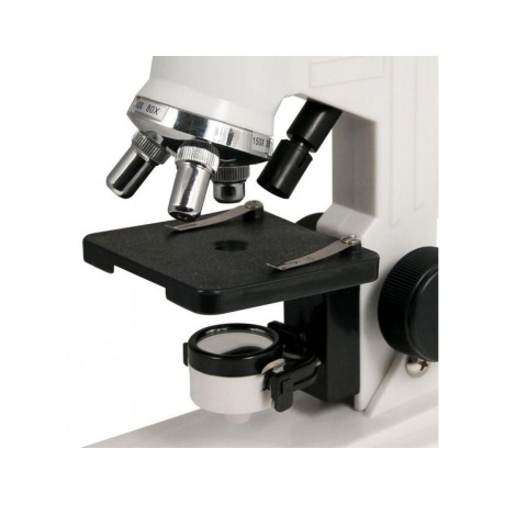 Микроскоп цифровой Celestron 40x-600x - фото 2