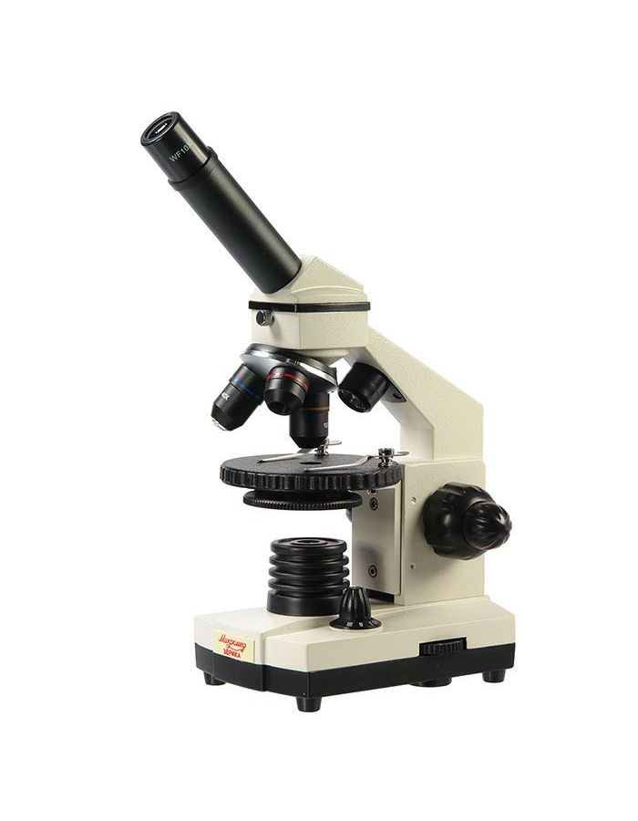 Микроскоп школьный Эврика 40х-1280х в текстильном кейсе микроскоп школьный эврика 40х 1280х с видеоокуляром в кейсе