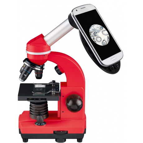 Микроскоп Bresser Junior Biolux SEL 40–1600x, красный - фото 2