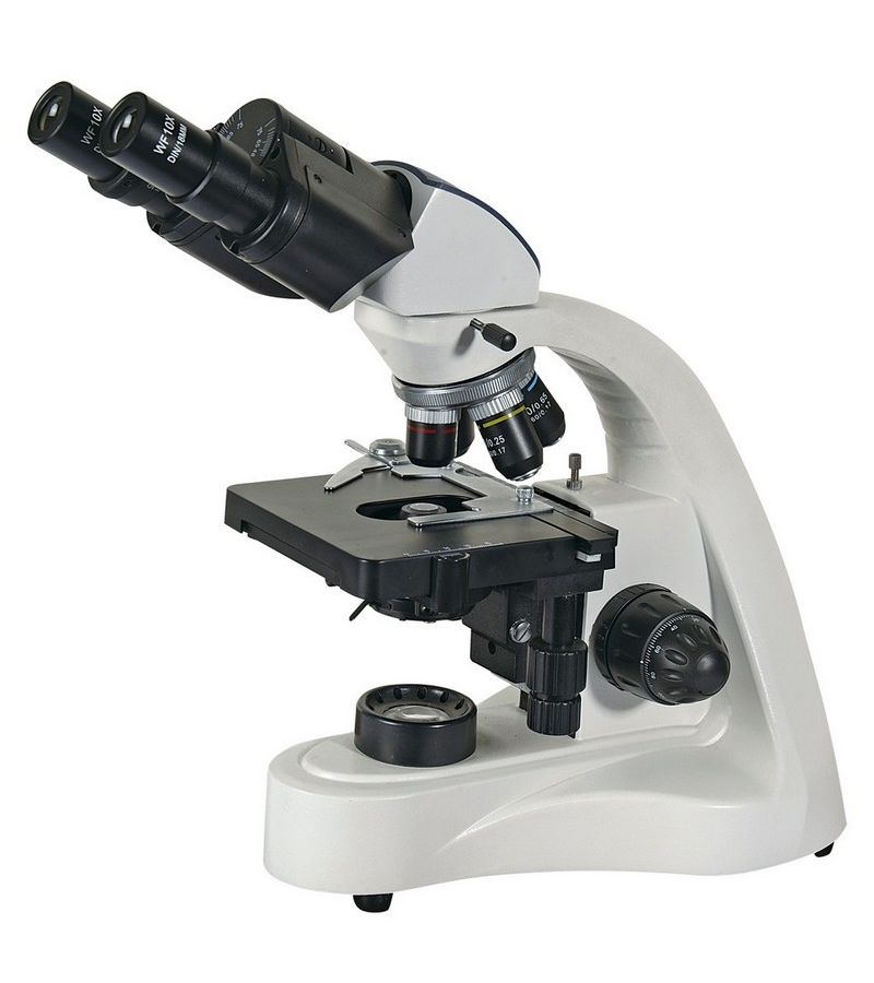 Микроскоп Levenhuk MED 10B, бинокулярный цена и фото