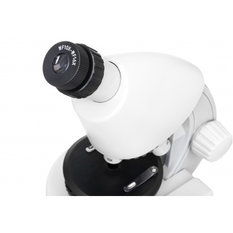 Микроскоп Discovery Micro Polar с книгой - фото 11