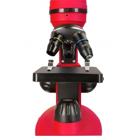 Микроскоп Discovery Nano Terra с книгой - фото 12