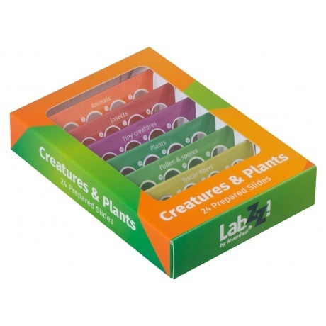 Набор микропрепаратов Levenhuk LabZZ CP24, существа и растения - фото 1