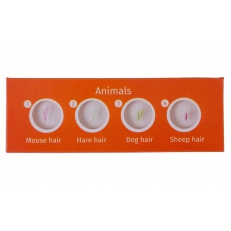 Набор микропрепаратов Levenhuk LabZZ CP24, существа и растения - фото 2