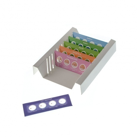 Набор микропрепаратов Микромед №24 - фото 2