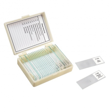 

Набор препаратов Микромед "Общая биология" (9 обр. для школы)