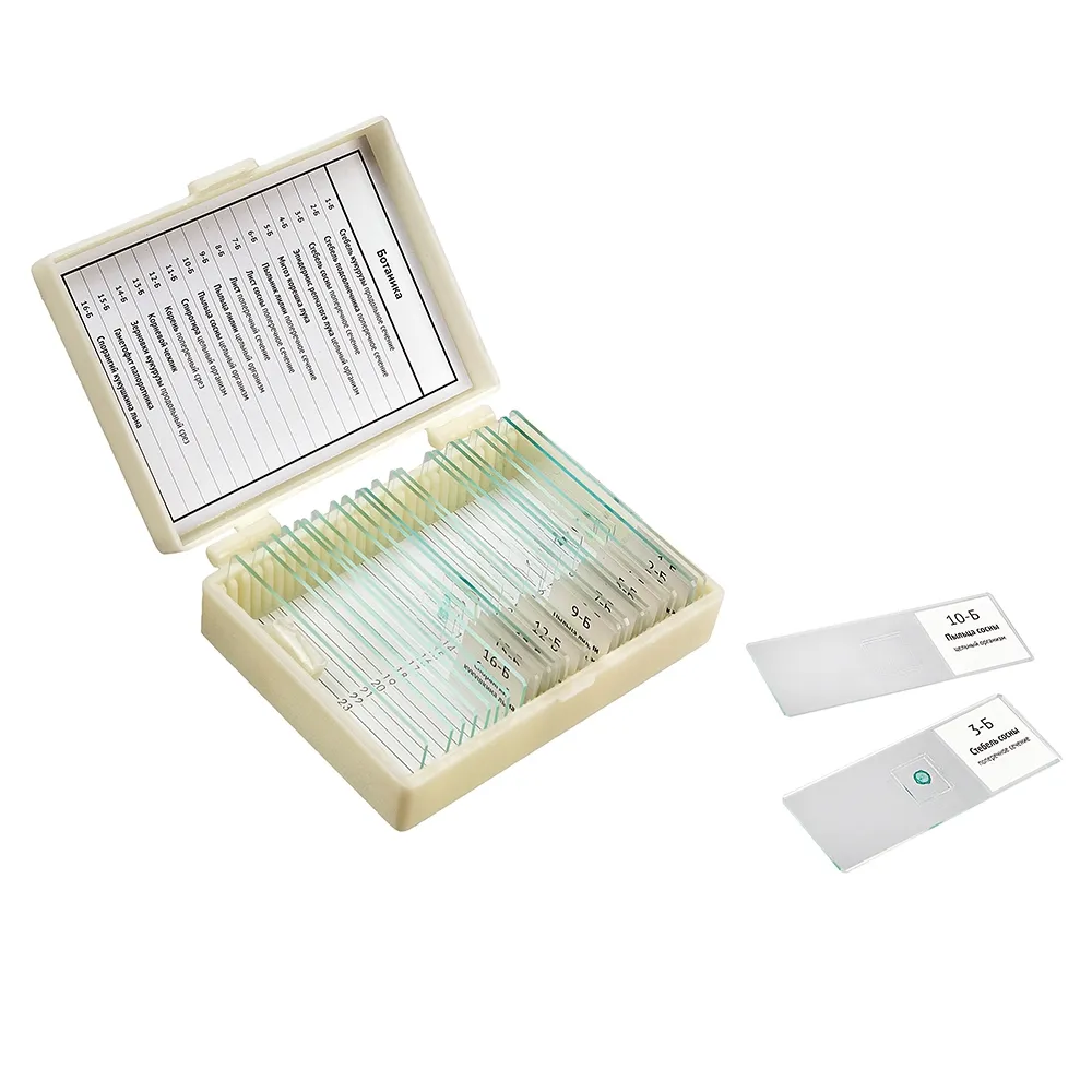 Набор препаратов Микромед "Ботаника" (16 обр. для школы) - фото 1