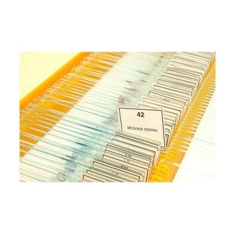 Набор микропрепаратов Levenhuk N80 NG Увидеть все! (RU) - фото 3