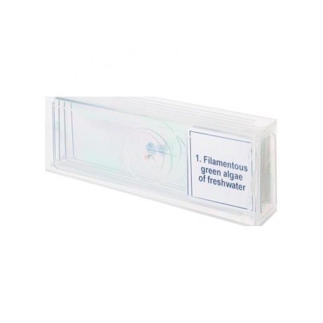 Набор микропрепаратов Levenhuk Discovery Prof DPS 5. «Биология» - фото 4