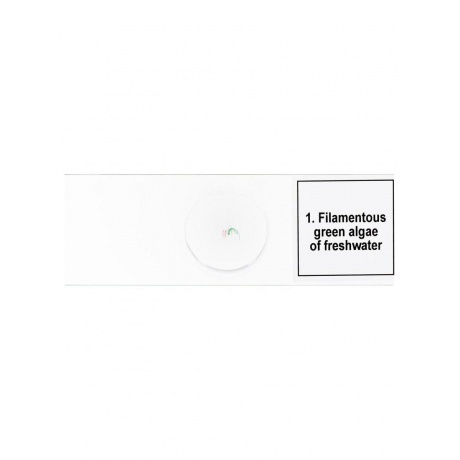 Набор микропрепаратов Levenhuk Discovery Prof DPS 5. «Биология» - фото 7