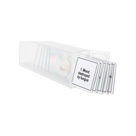 Набор микропрепаратов Levenhuk Discovery Prof DPS 5. «Мутации» - фото 5