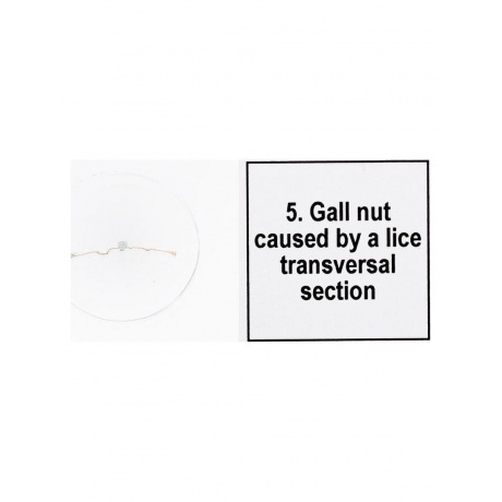 Набор микропрепаратов Levenhuk Discovery Prof DPS 5. «Мутации» - фото 8