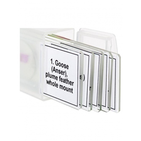 Набор микропрепаратов Levenhuk Discovery Prof DPS 5. «Птицы» - фото 5