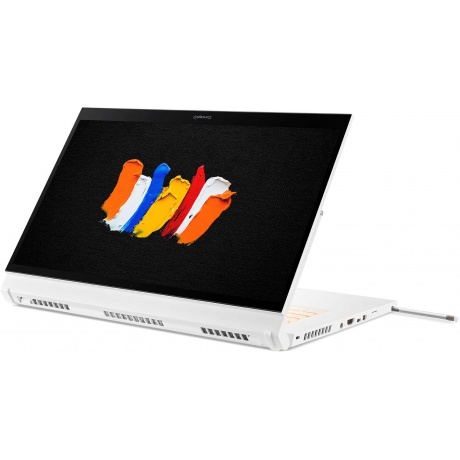 Ноутбук Acer ConceptD 3 Ezel Pro CC315-72P-79A1 (NX.C5QER.001) - фото 22