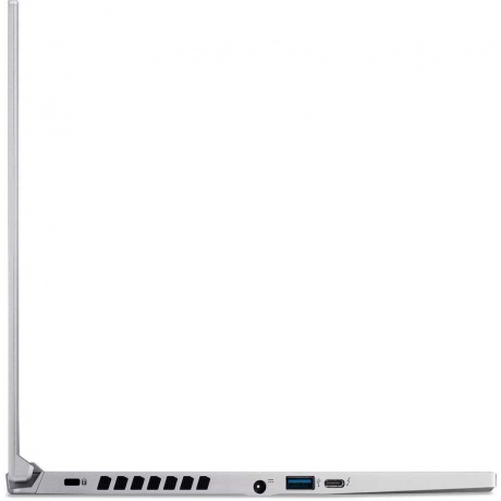Ноутбук Acer Predator Triton 300 PT314-51s-51NZ Silver (NH.QBJER.004) - фото 7