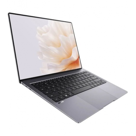 Ноутбук HUAWEI MateBook X Pro MorganG-W7611T 14.2&quot; gray (53013SJV) - фото 4