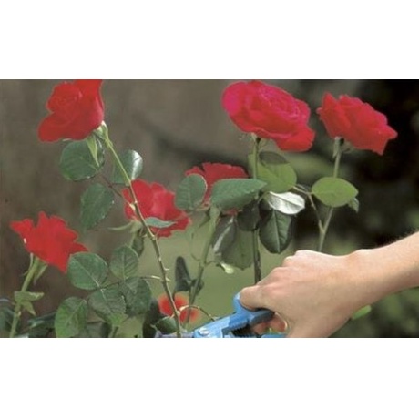Ножницы для роз Gardena 359 (00359-20.000.00) - фото 3