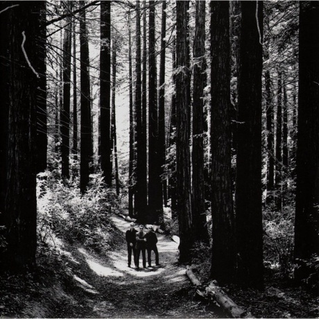 Depeche Mode - Sounds Of The Universe (0889853370313) виниловая пластинка - фото 9